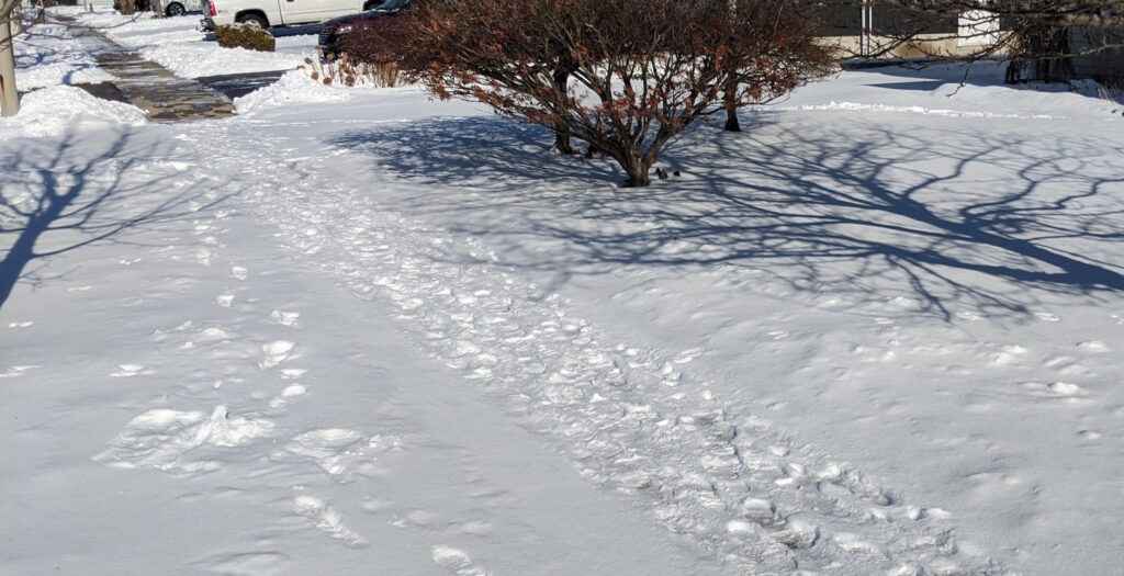 BC Sidewalk Solutions Park Walkway covered in Snow